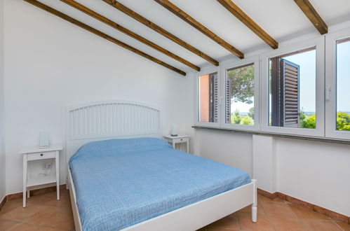 Foto 34 - Casa con 2 camere da letto a Cecina con piscina privata e vista mare