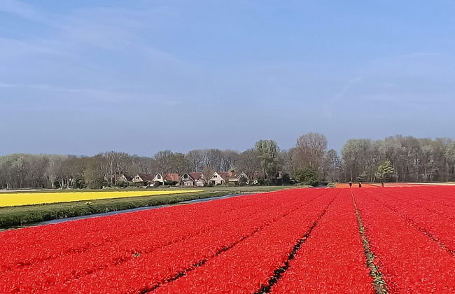 Casa de 5 quartos em Noordwijk com jardim e terraço - Foto 20