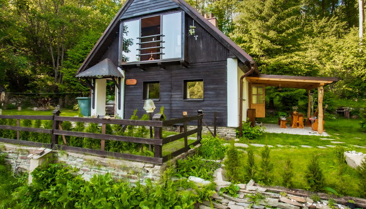 Photo 1 - Maison de 3 chambres à Lipno nad Vltavou avec jardin et vues sur la montagne