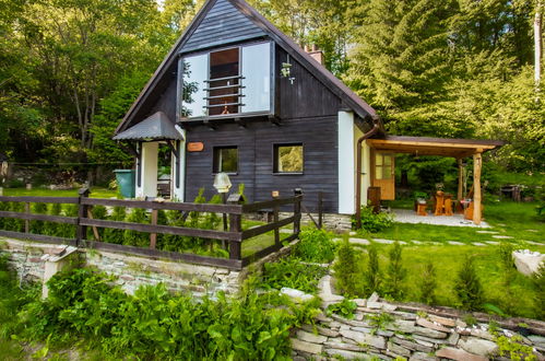 Photo 1 - Maison de 3 chambres à Lipno nad Vltavou avec jardin et vues sur la montagne