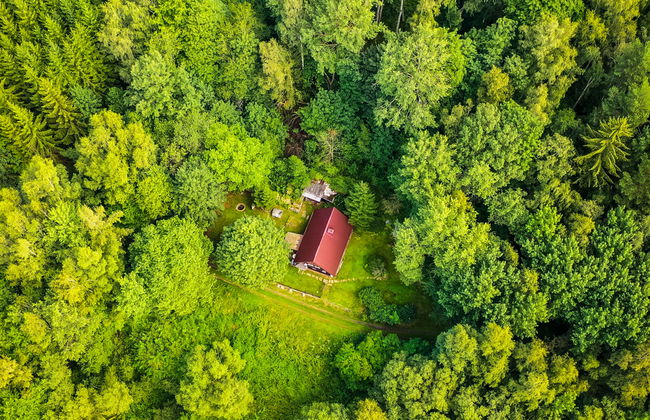 Casa de 3 quartos em Lipno nad Vltavou com jardim - Foto 12