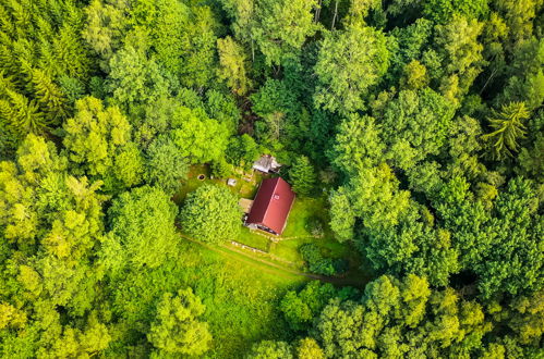 Foto 12 - Casa de 3 quartos em Lipno nad Vltavou com jardim e vista para a montanha