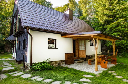 Photo 11 - Maison de 3 chambres à Lipno nad Vltavou avec jardin et vues sur la montagne