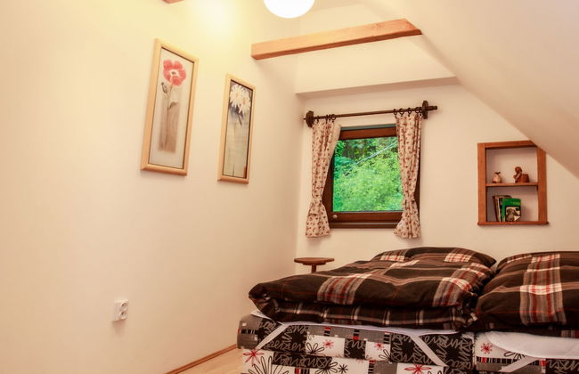 Casa de 3 quartos em Lipno nad Vltavou com jardim - Foto 13