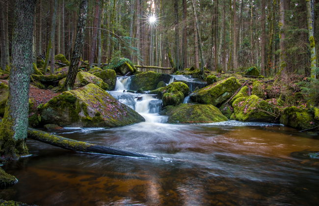 Casa de 3 quartos em Lipno nad Vltavou com jardim - Foto 22