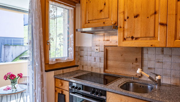 2 bedroom Apartment in Samedan with garden and terrace - Photo 4