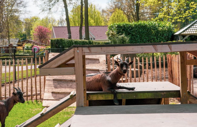 Casa de 4 quartos em Lochem com piscina e terraço - Foto 12