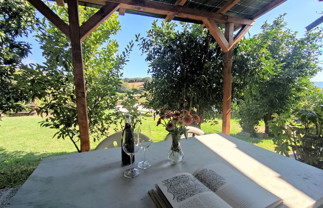 Casa de 3 quartos em Scansano com terraço e banheira de hidromassagem - Foto 25