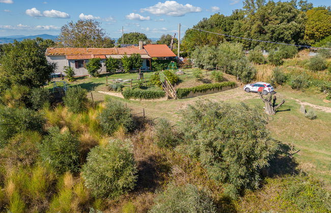 Casa de 3 quartos em Scansano com terraço e banheira de hidromassagem - Foto 6