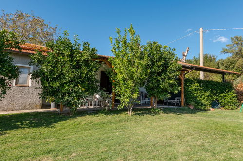 Foto 22 - Casa con 2 camere da letto a Scansano con terrazza e vasca idromassaggio