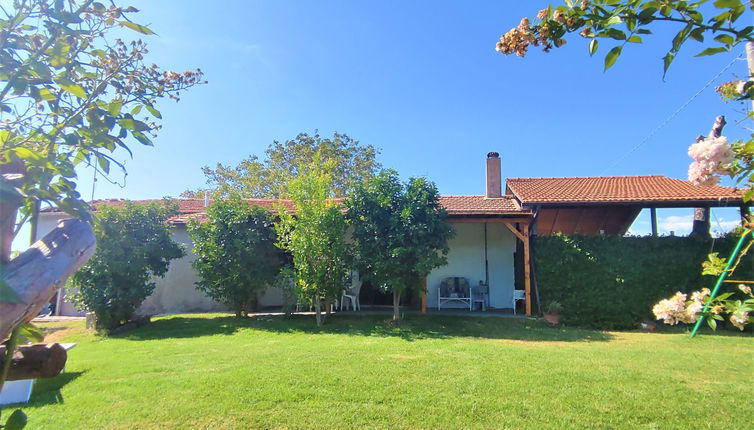 Photo 1 - Maison de 2 chambres à Scansano avec terrasse et bain à remous