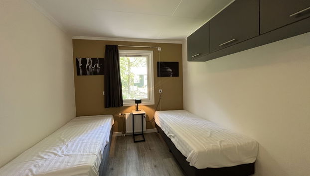 4 bedroom House in Dwingeloo with swimming pool and terrace - Photo 5