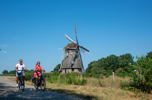 Foto 4 - Haus mit 3 Schlafzimmern in Dwingeloo mit schwimmbad