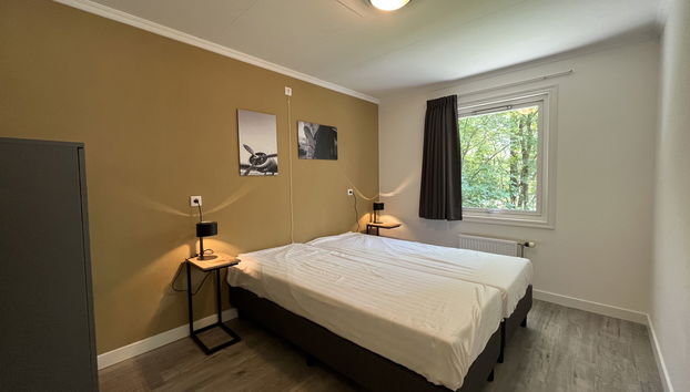 4 bedroom House in Dwingeloo with swimming pool and terrace - Photo 4