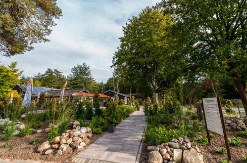 Foto 4 - Casa de 3 quartos em Dwingeloo com piscina e terraço