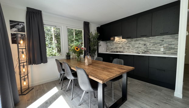 4 bedroom House in Dwingeloo with swimming pool and terrace - Photo 3