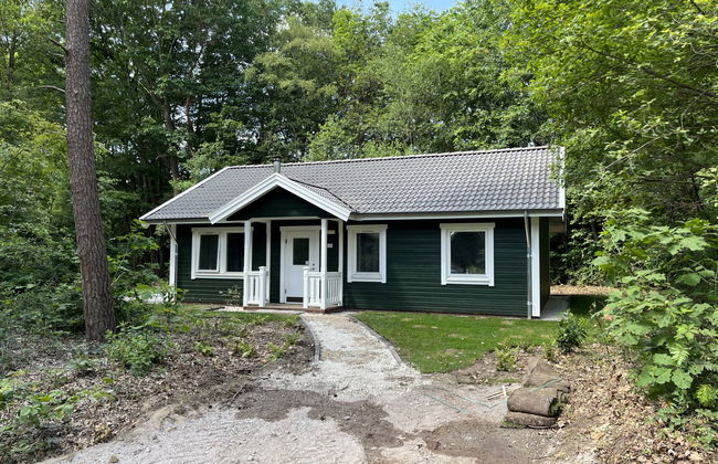 Casa de 4 quartos em Dwingeloo com piscina e terraço - Foto 1