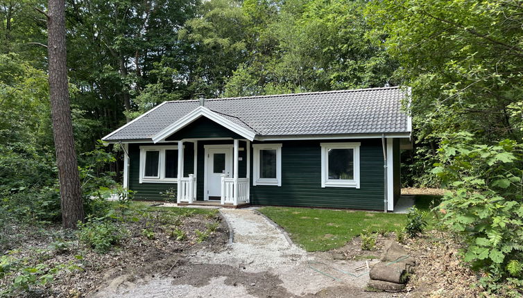 Photo 1 - Maison de 3 chambres à Dwingeloo avec piscine et terrasse