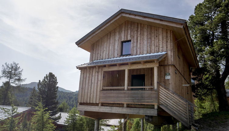 Foto 1 - Casa con 4 camere da letto a Stadl-Predlitz con sauna e vista sulle montagne