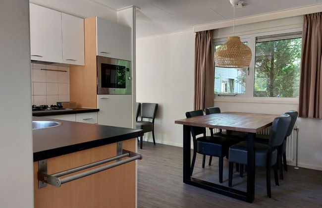 Casa de 4 quartos em Beekbergen com piscina e jardim - Foto 7