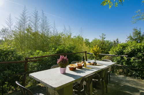 Photo 17 - Maison de 2 chambres à Peccioli avec jardin et terrasse