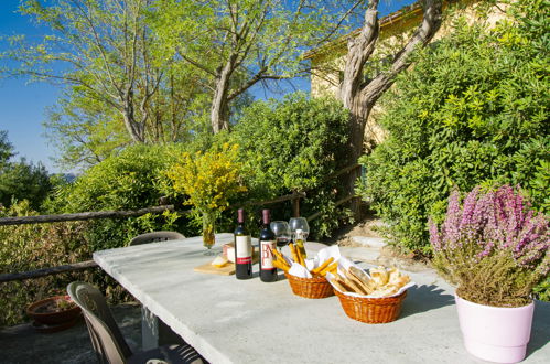 Photo 2 - Maison de 2 chambres à Peccioli avec jardin et terrasse