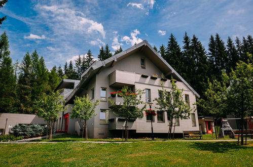 Photo 13 - Appartement en Harrachov