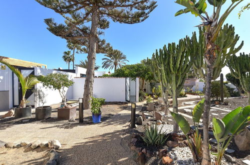 Photo 18 - 2 bedroom House in San Bartolomé de Tirajana with private pool and garden