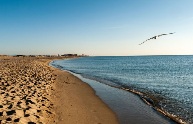 Apartamento de 3 quartos em Canet-en-Roussillon com piscina e terraço - Foto 27