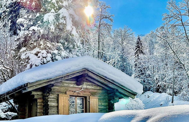 Apartamento de 4 quartos em Engelberg com jardim - Foto 17