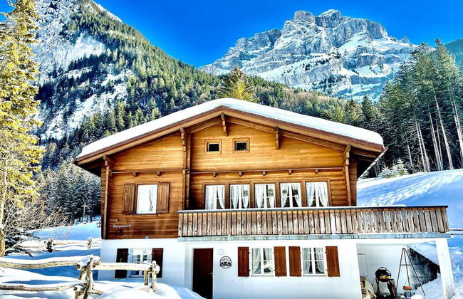Apartamento de 4 quartos em Engelberg com jardim - Foto 2