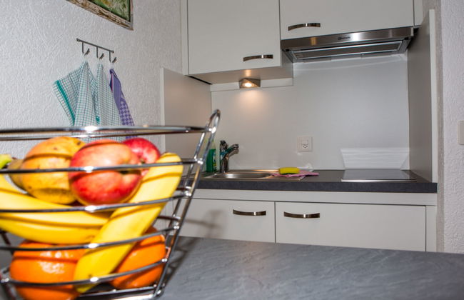 Appartement de 1 chambre à Samnaun - Photo 14