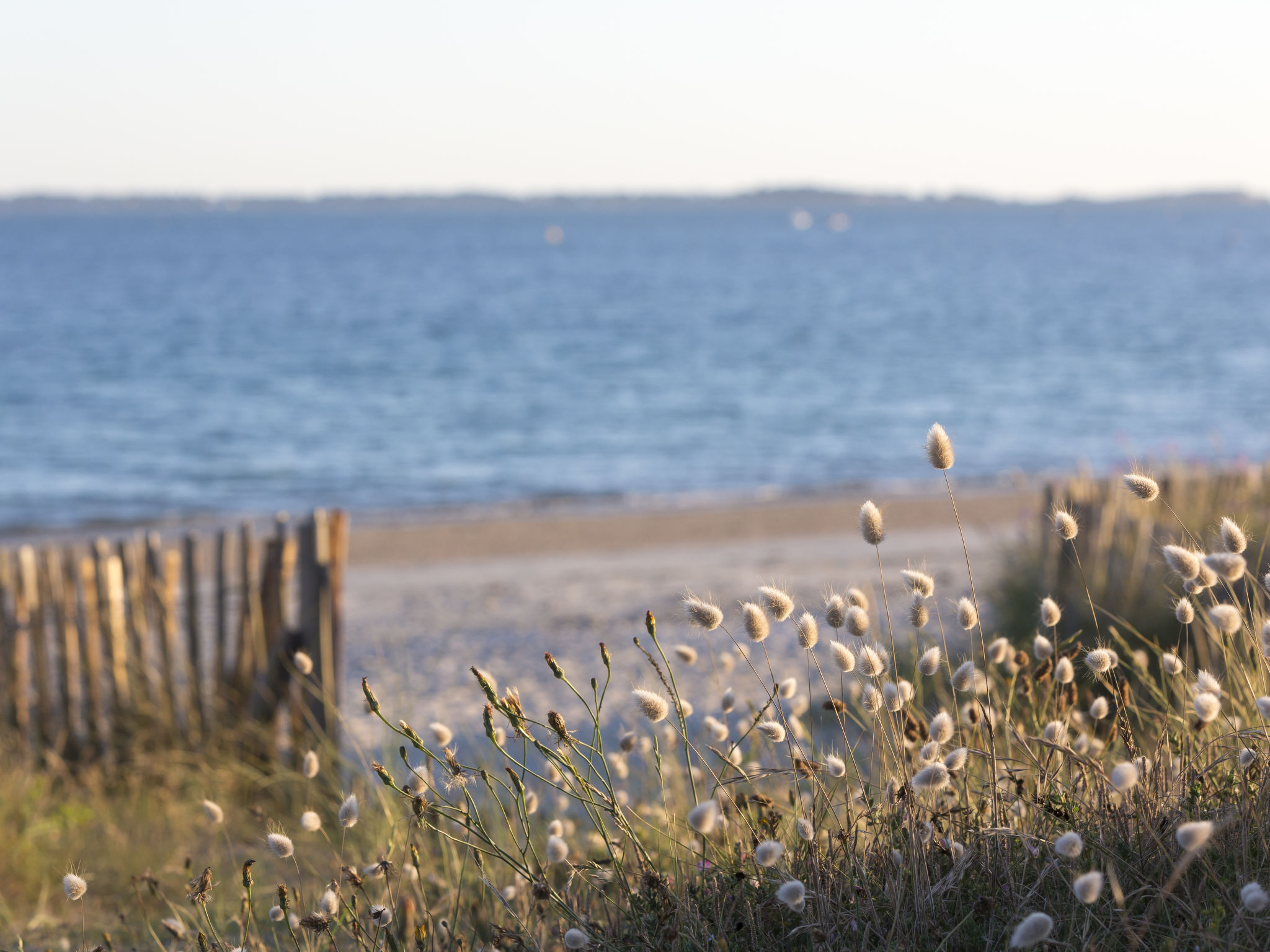 Photo 19 - 2 bedroom Apartment in Carnac with sea view