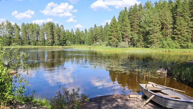 Casa con 4 camere da letto a Leppävirta con sauna - Foto 4