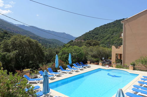 Photo 6 - Apartment in Serriera with swimming pool and terrace