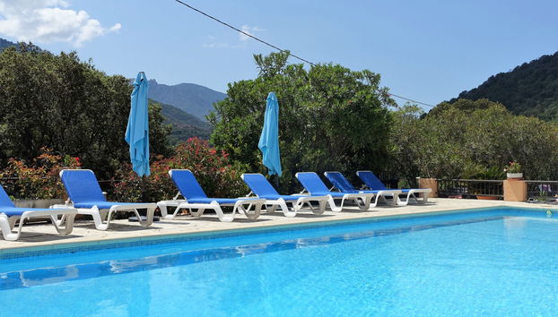Apartamento de 1 quarto em Serriera com piscina e terraço - Foto 3