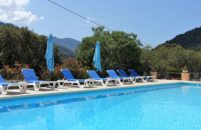 Apartamento de 1 quarto em Serriera com piscina e terraço - Foto 3