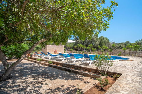 Photo 29 - Maison de 3 chambres à Felanitx avec piscine privée et jardin