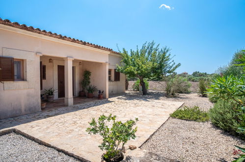 Photo 31 - Maison de 3 chambres à Felanitx avec piscine privée et jardin