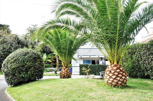 Photo 19 - Apartment in Bidart with garden and terrace