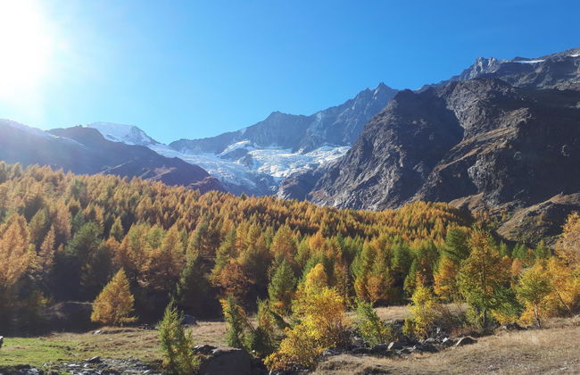 Apartamento de 2 quartos em Saas-Grund - Foto 1