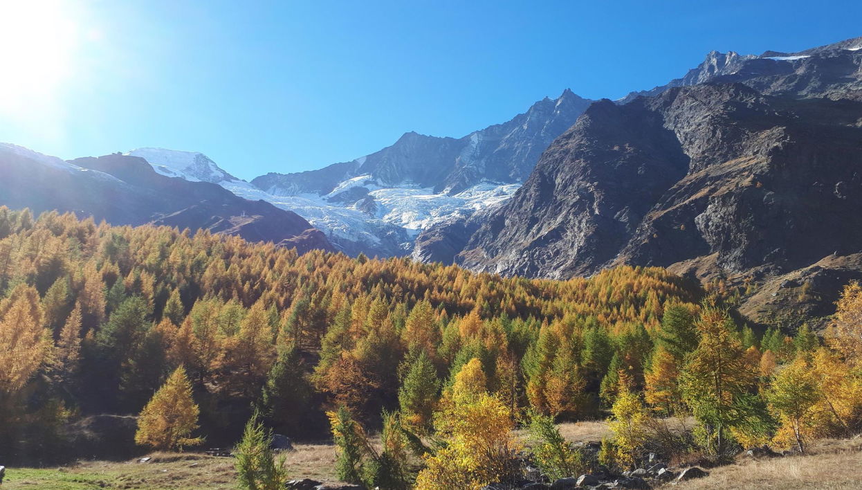 Apartamento de 2 quartos em Saas-Grund - Foto 1