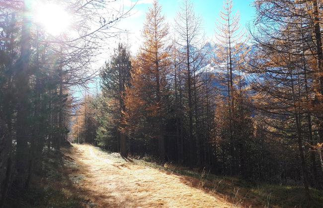 Apartamento de 2 quartos em Saas-Grund - Foto 8