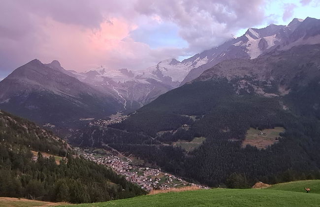 Apartamento de 2 quartos em Saas-Grund - Foto 24
