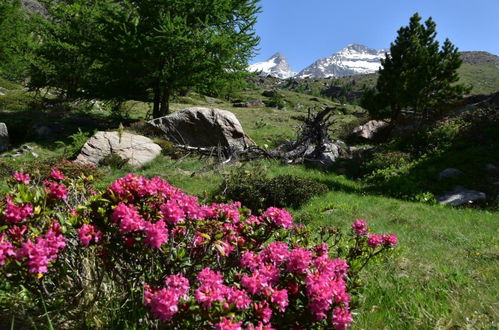 Photo 14 - Appartement de 2 chambres à Saas-Grund avec jardin