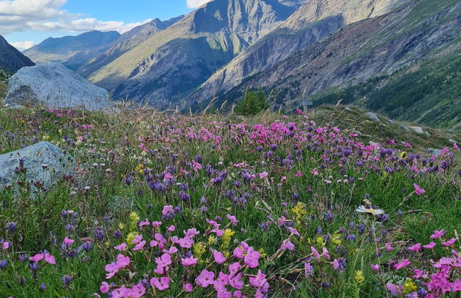 Apartamento de 2 quartos em Saas-Grund - Foto 25