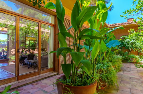 Foto 45 - Haus mit 5 Schlafzimmern in Son Servera mit garten und terrasse