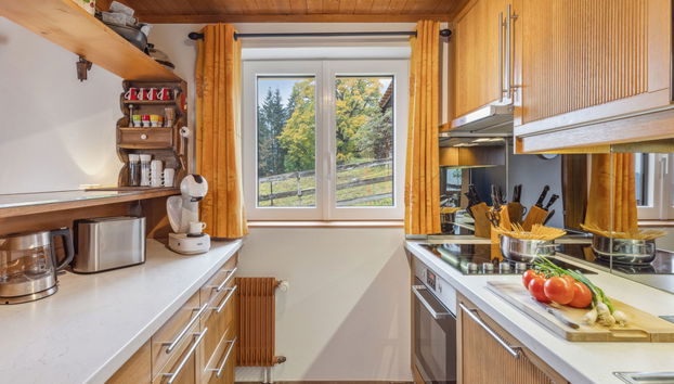 Haus mit 4 Schlafzimmern in Lauterbrunnen mit garten und terrasse - Foto 3