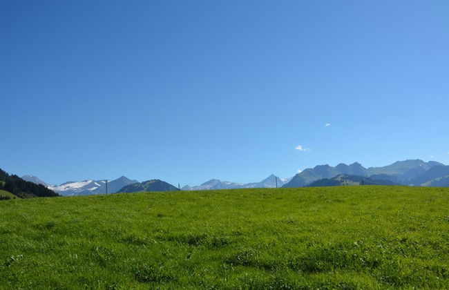 3 bedroom Apartment in Saanen - Photo 4