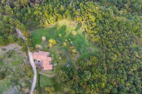 Foto 75 - Casa de 4 quartos em Montieri com jardim e terraço